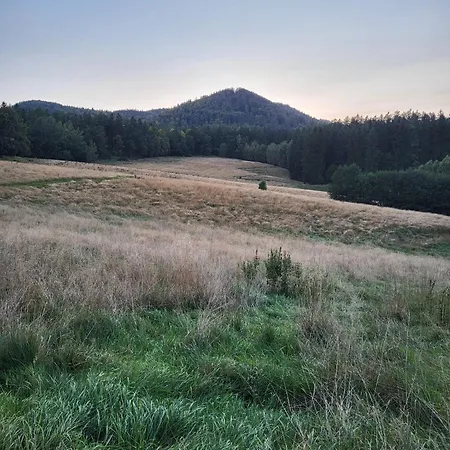 Loftowy *
